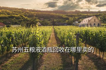 蘇州五糧液酒瓶回收在哪里賣的