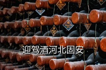 迎駕酒河北固安