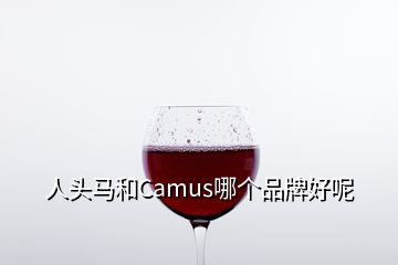 人頭馬和Camus哪個品牌好呢