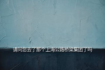 請(qǐng)問(wèn)您去了那個(gè)上海公路橋梁集團(tuán)了嗎