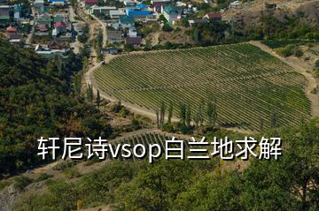 軒尼詩vsop白蘭地求解