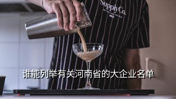 誰能列舉有關河南省的大企業(yè)名單