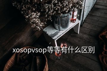 xosopvsop等等有什么區(qū)別