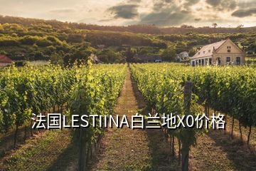 法國LESTIINA白蘭地X0價格