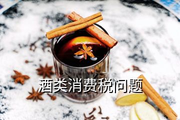 酒類消費(fèi)稅問題