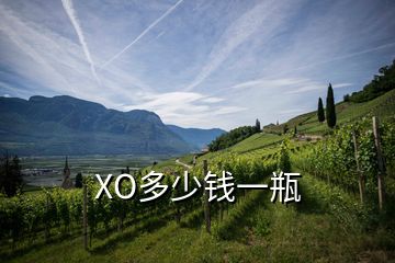 XO多少錢一瓶