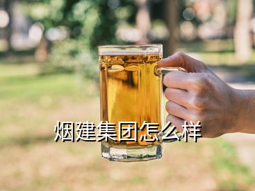 煙建集團(tuán)怎么樣