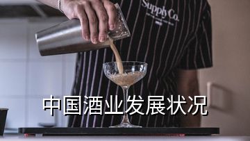 中國酒業(yè)發(fā)展狀況