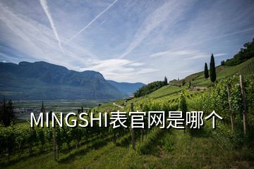 MINGSHI表官網(wǎng)是哪個(gè)