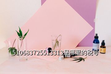 510683725513313是哪里的稅號(hào)