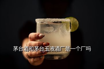 茅臺(tái)酒和茅臺(tái)玉液酒廠是一個(gè)廠嗎