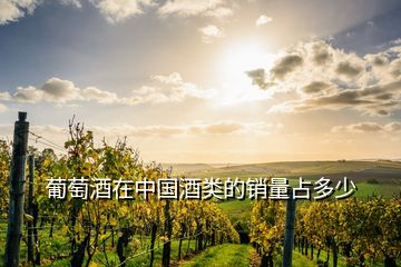 葡萄酒在中國(guó)酒類的銷量占多少