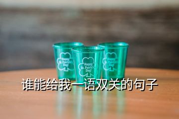 誰能給我一語雙關(guān)的句子