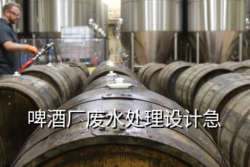 啤酒廠廢水處理設(shè)計急