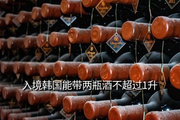 入境韓國能帶兩瓶酒不超過1升