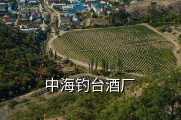 中海釣臺酒廠