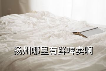 揚(yáng)州哪里有鮮啤賣啊