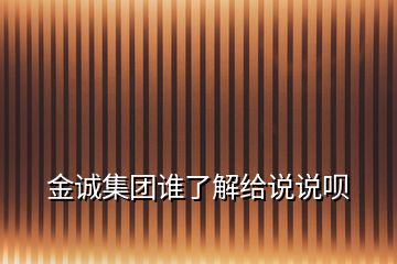 金誠集團誰了解給說說唄