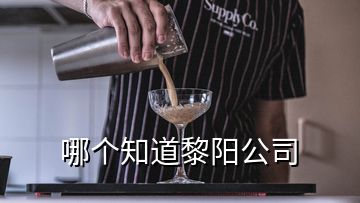 哪個知道黎陽公司