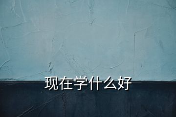 現(xiàn)在學(xué)什么好