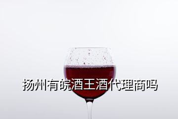 揚(yáng)州有皖酒王酒代理商嗎