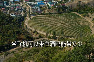 坐飛機(jī)可以帶白酒嗎能帶多少