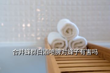 合并蜂群白酒噴脾對(duì)蜂子有害嗎