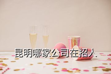 昆明哪家公司在招人