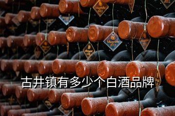 古井鎮(zhèn)有多少個白酒品牌