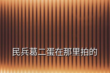 民兵葛二蛋在那里拍的