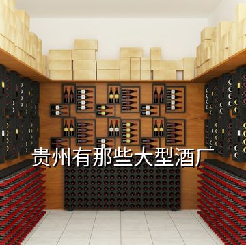 貴州有那些大型酒廠(chǎng)