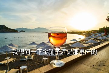 我想問(wèn)一下金鋪?zhàn)泳剖悄抢锂a(chǎn)的