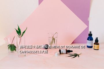 請(qǐng)問(wèn)法國(guó)卡洛紅葡萄酒 MERLOT DOMAINE DE CANTAUSSELS大概