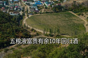 五糧液富貴有余10年回歸酒