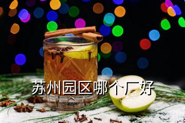 蘇州園區(qū)哪個(gè)廠好