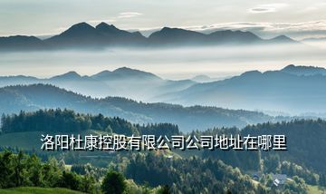 洛陽(yáng)杜康控股有限公司公司地址在哪里