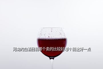 河南的白酒目前哪個(gè)賣的比較好哪個(gè)前途好一點(diǎn)