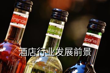 酒店行業(yè)發(fā)展前景