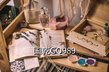 國(guó)乾GQ989