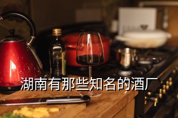 湖南有那些知名的酒廠