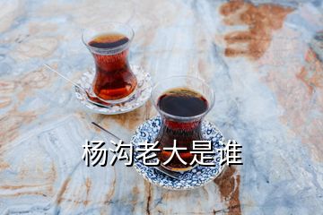 楊溝老大是誰(shuí)