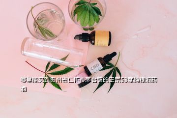 哪里能買到貴州省仁懷市茅臺(tái)鎮(zhèn)的正宗53度純糧泡藥酒