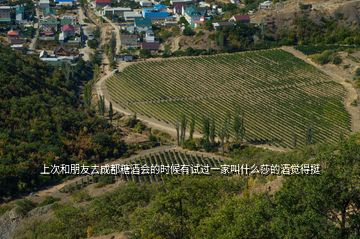 上次和朋友去成都糖酒會(huì)的時(shí)候有試過一家叫什么莎的酒覺得挺