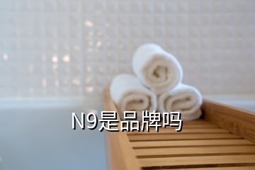 N9是品牌嗎