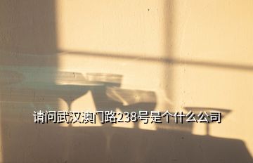 請問武漢澳門路238號是個什么公司