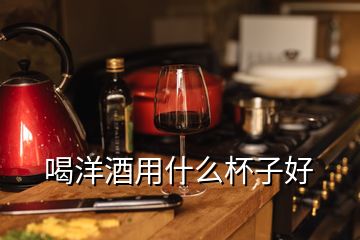 喝洋酒用什么杯子好