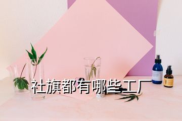 社旗都有哪些工廠