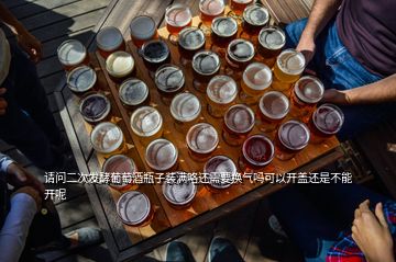 請問二次發(fā)酵葡萄酒瓶子裝滿咯還需要換氣嗎可以開蓋還是不能開呢