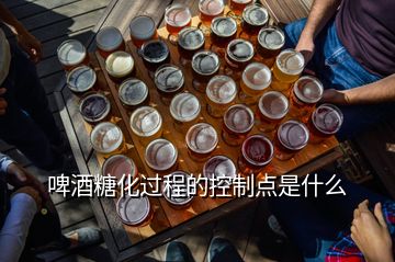 啤酒糖化過程的控制點(diǎn)是什么