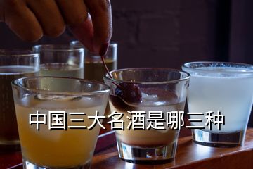 中國三大名酒是哪三種